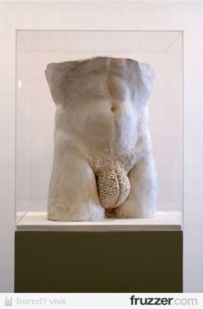 gehirn.jpg