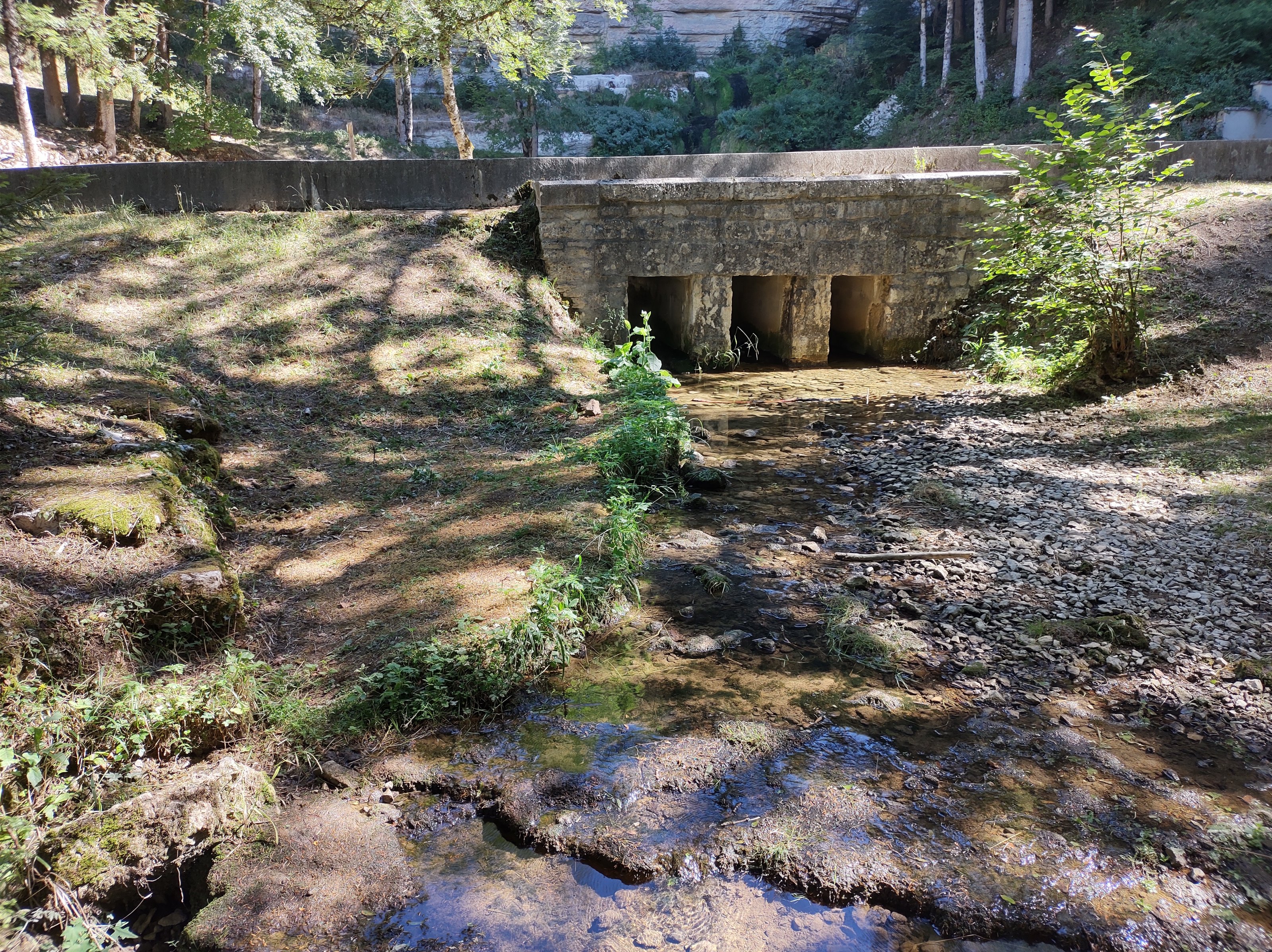 IMG_20220810_112225716_HDR.jpg