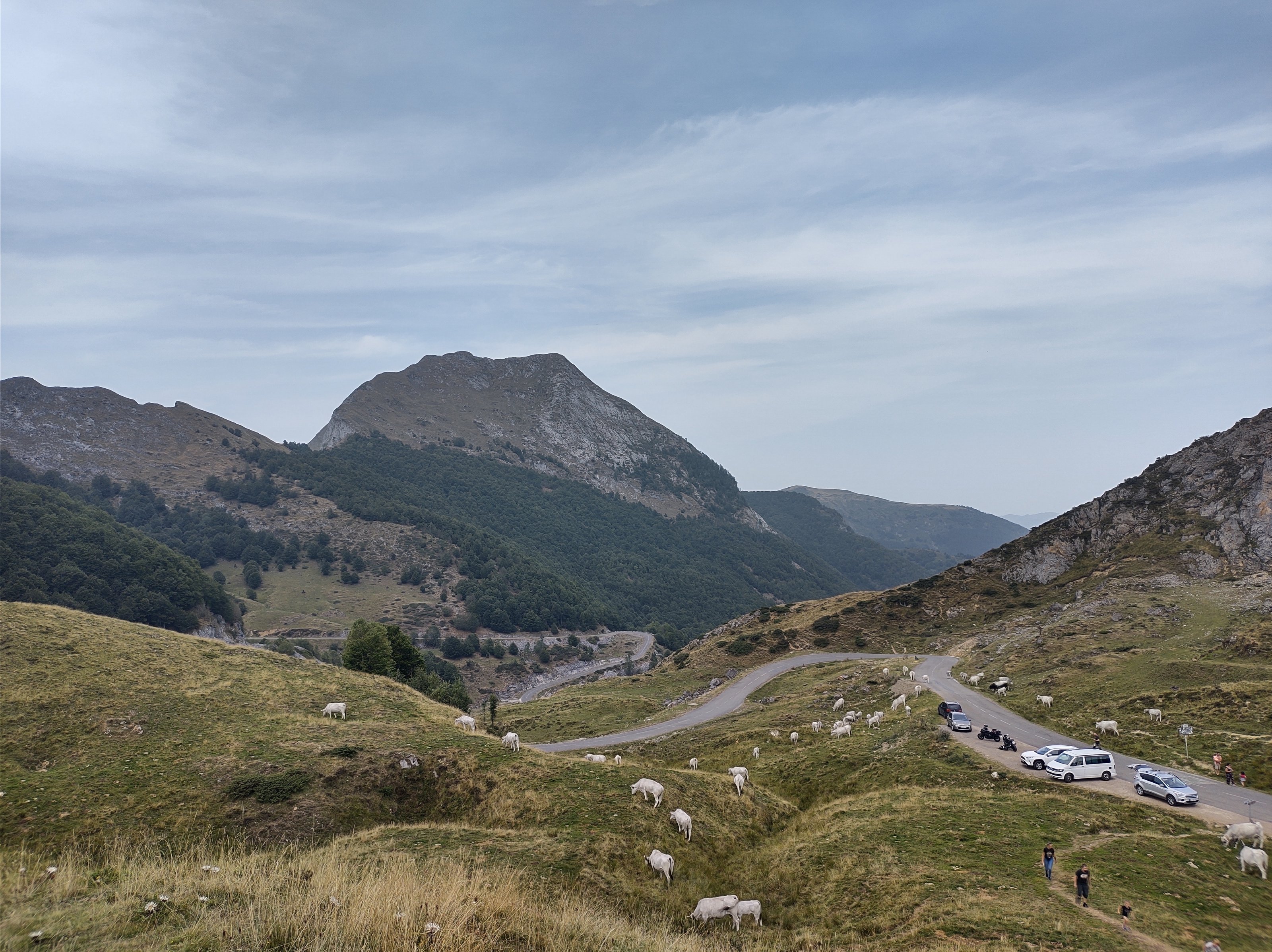 IMG_20220813_142853910_HDR.jpg