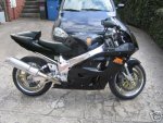 srad tl1000 Kopie.jpg
