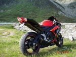 gsx-r italy3.JPG