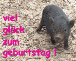 geburtstagsschwmini.gif