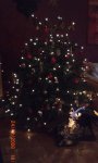 Unser Weihnachtsbaum.jpg