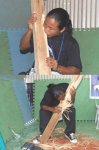 tmbhornoxecompicdump250gs0.jpg