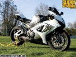 0904_sbkp_01_z+2008_suzuki_gsx_r1000+cover_spread.jpg