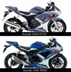 suzuki_gsx-r125.jpg