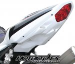 suzuki-gsxr-1000-hotbodies-undertail-2003-2004.jpg