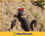 funfire-de-1188666264-1.jpg