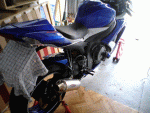 DSC00407.gif