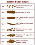 Bristol_Stool_Chart.jpg