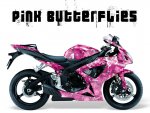 gsxr-pink_butterflies.jpg