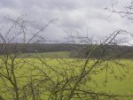 Wetter 2 005.JPG