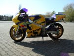 DSC00338.JPG