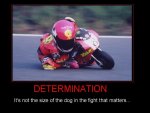 determination.jpg