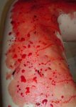 DSC00023.JPG