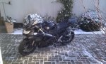 IMAG0540.jpg