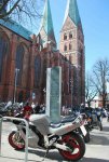 DSC_73001.jpg
