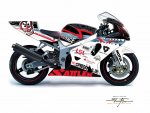 flier_gsxr_design_sattler_3.jpg