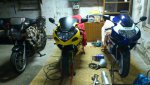 DSC_0464.jpg