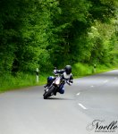 DSC_0348a.jpg DSC_0348a.jpg