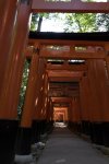 1_Fushimi_Inari_08.jpg