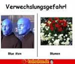 Blumen.jpg