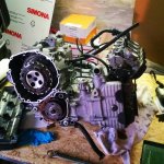 InstagramCapture_41d5e68f-862e-44ec-be37-e95a35033de1.jpg InstagramCapture_41d5e68f-862e-44ec-be37-e95a35033de1.jpg