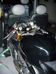 DSCN0530.JPG
