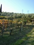 Toscana2008 104.JPG