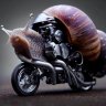 Racing snail