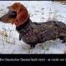 Panzerkalle
