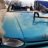 delphin1000