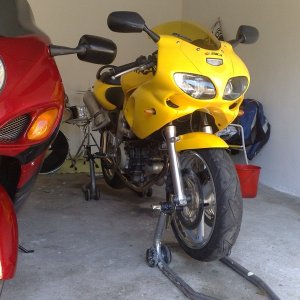 Mein Bruder seine Haya und meine Knubbel