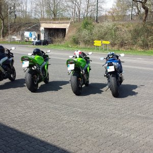 Beschreibung