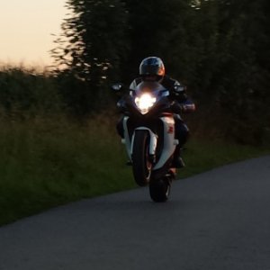 Beschreibung