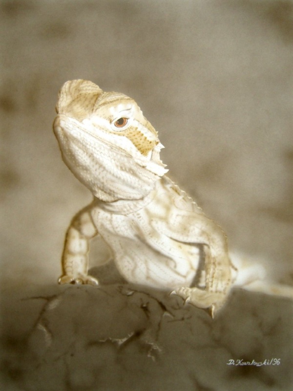 Bartagame