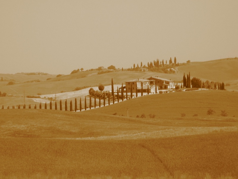 Toskana 2103